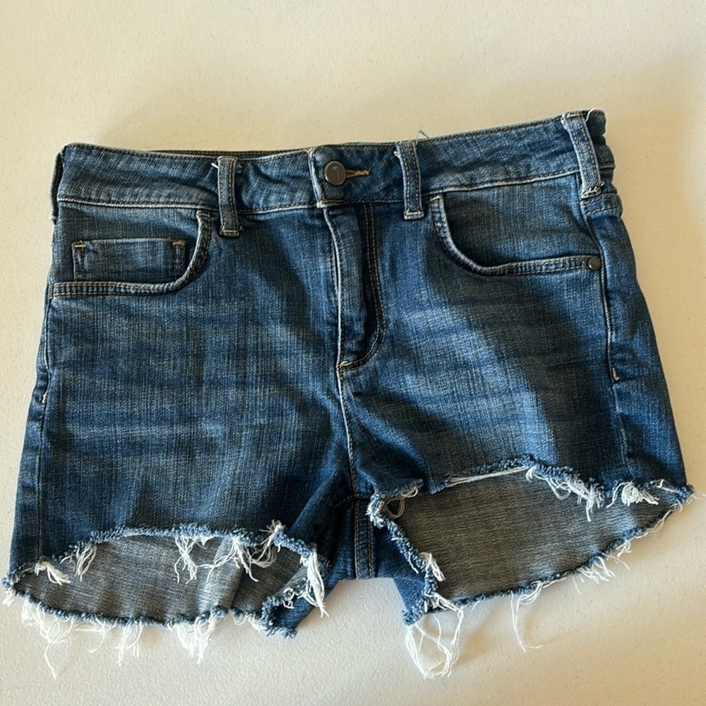 Pilcro and the Letterpress by Anthropologie Script Denim Shorts 28